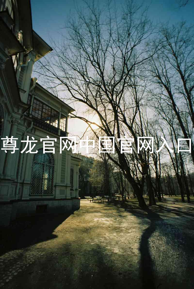 尊龙官网中国官网入口