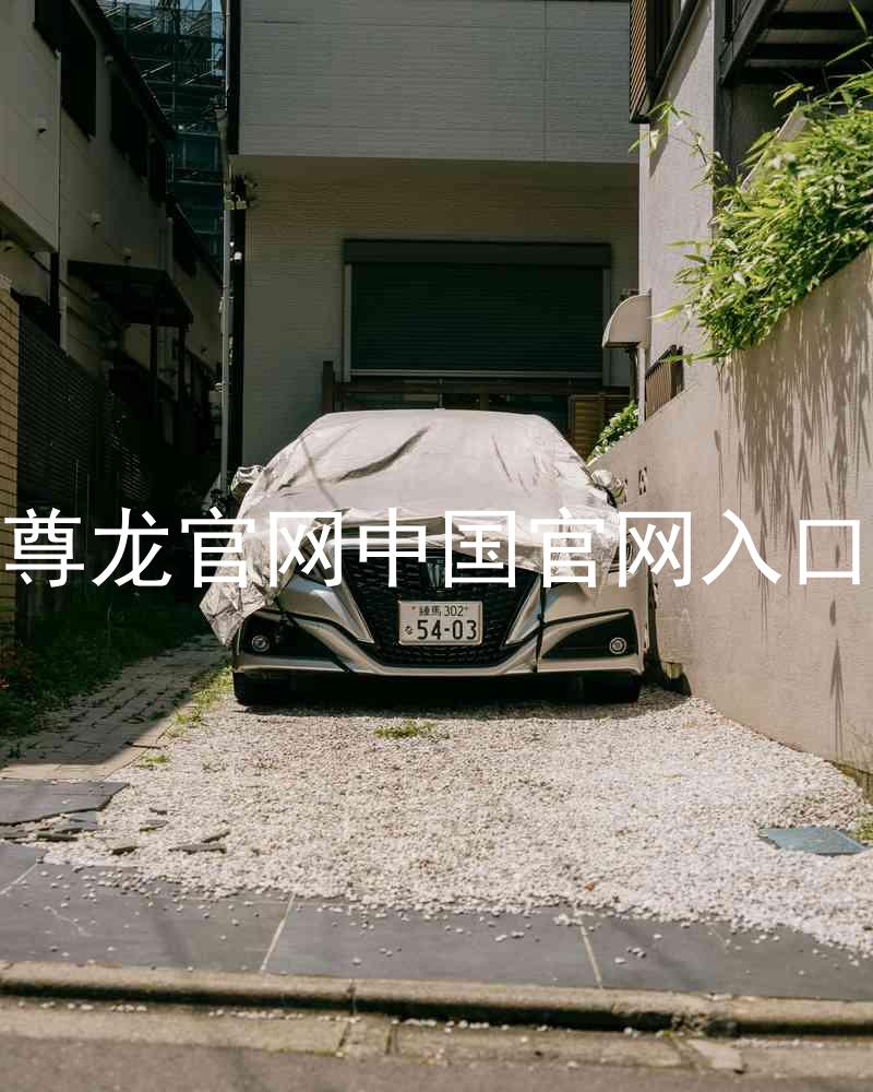 尊龙官网中国官网入口