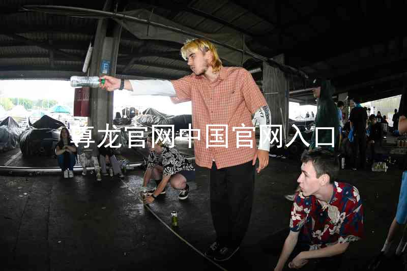 尊龙官网中国官网入口