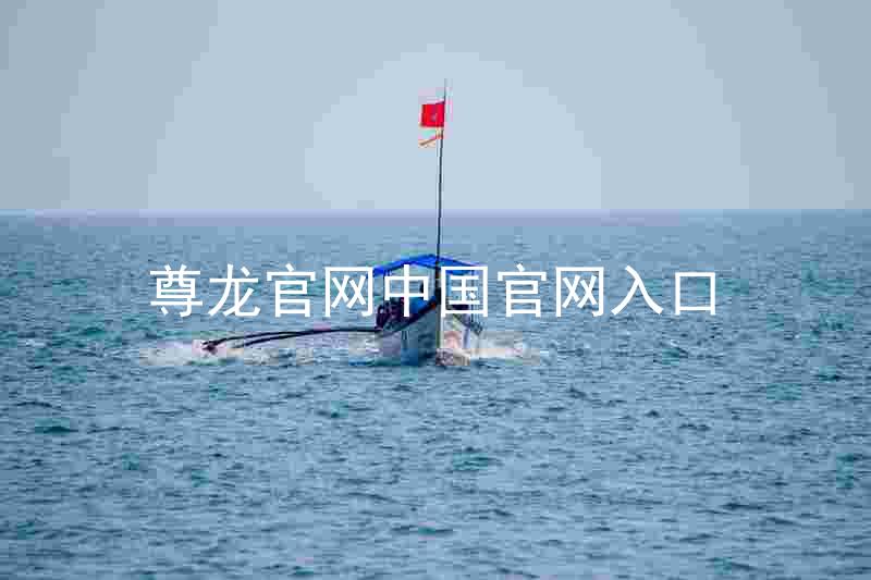 尊龙官网中国官网入口