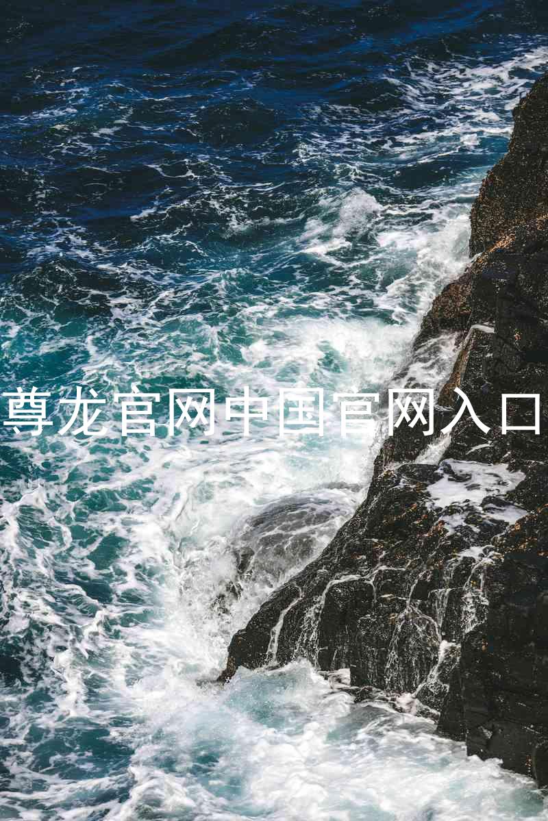 尊龙官网中国官网入口
