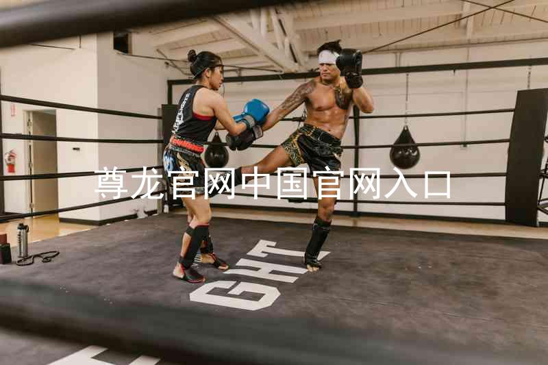 尊龙官网中国官网入口