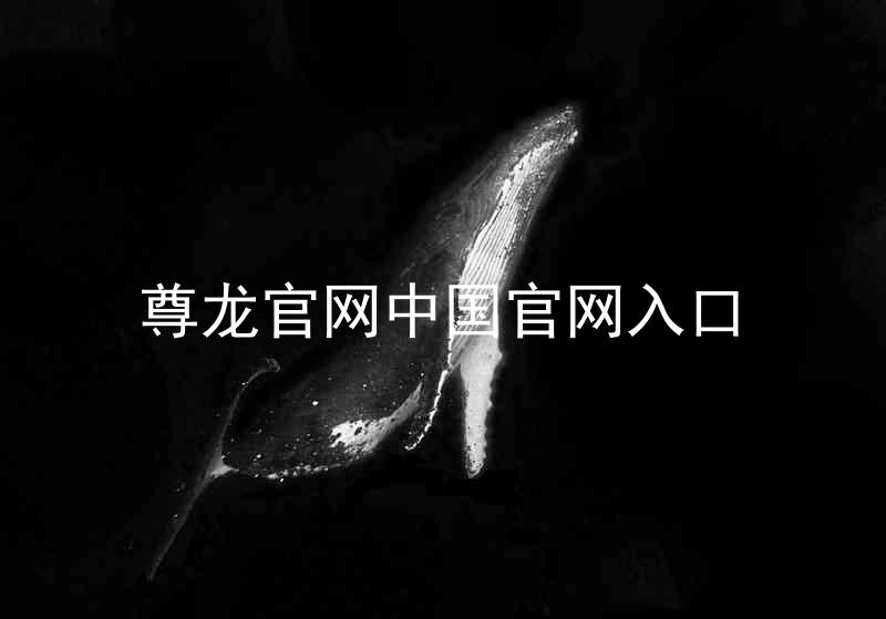 尊龙官网中国官网入口