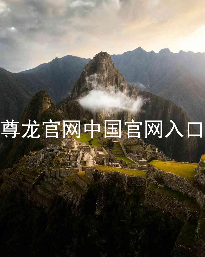 尊龙官网中国官网入口