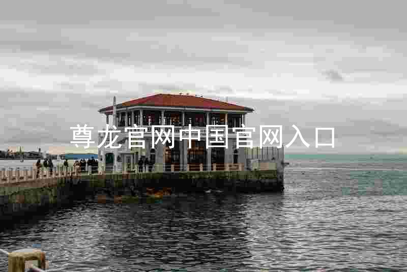 尊龙官网中国官网入口
