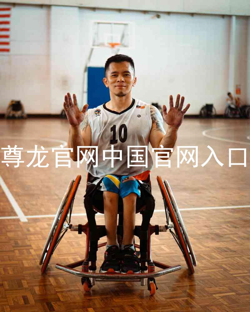 尊龙官网中国官网入口