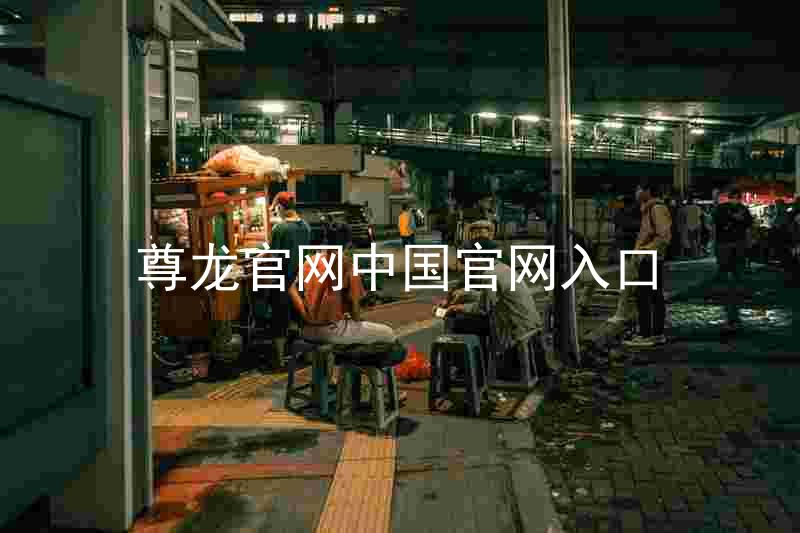 尊龙官网中国官网入口